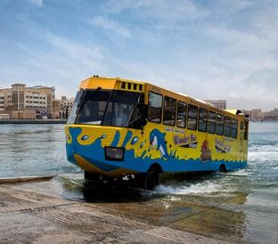 102 Wonder Bus Sea and Land Adventure Tours
