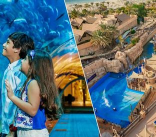 121 Dubai Aquarium and Wild Wadi Combo