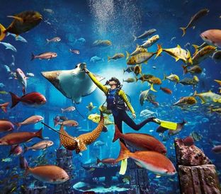 149 Scuba Diving Tour
