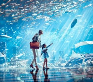 The Lost Chambers Aquarium Tickets