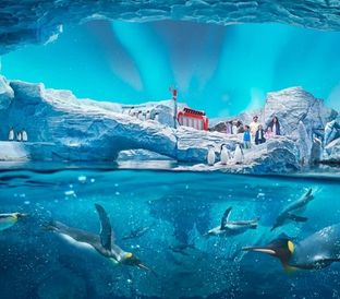 SeaWorld from Dubai