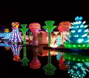 Glow Garden