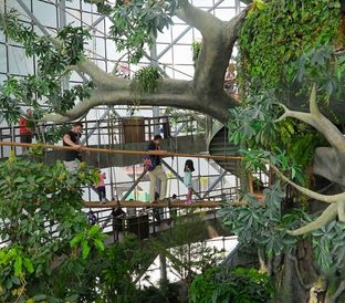 The Green Planet Dubai