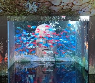 88 Dubai Aquarium with Free Theatre Of Digital Art
