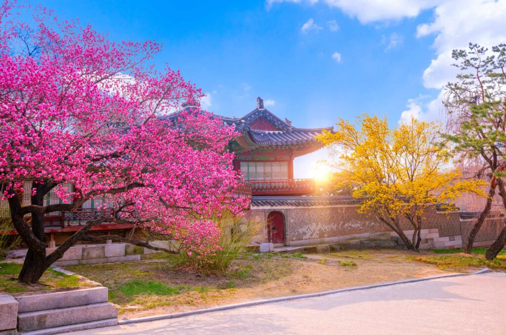 Annyeong South Korea