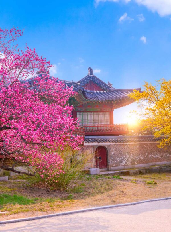 Annyeong South Korea