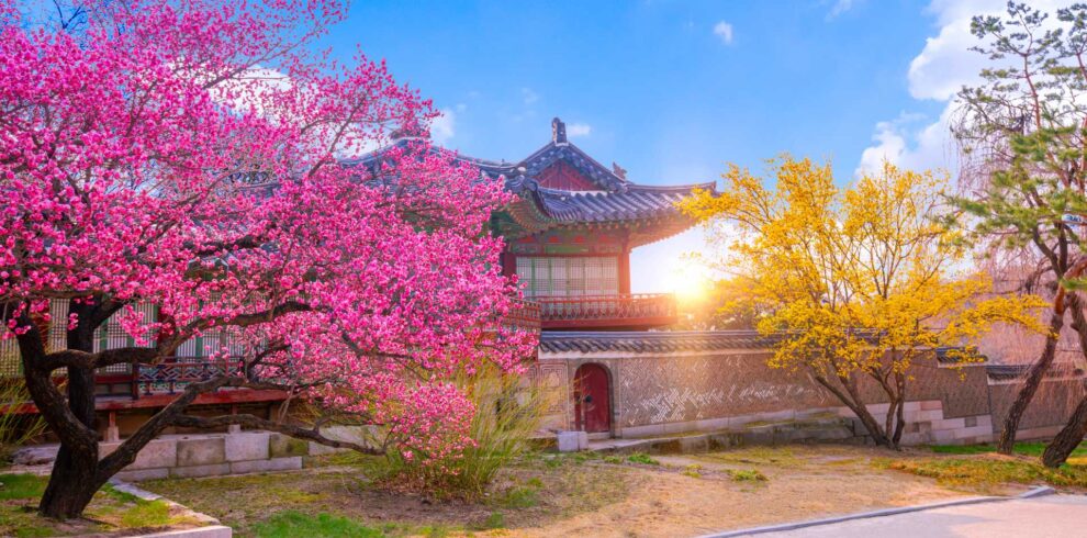 Annyeong South Korea