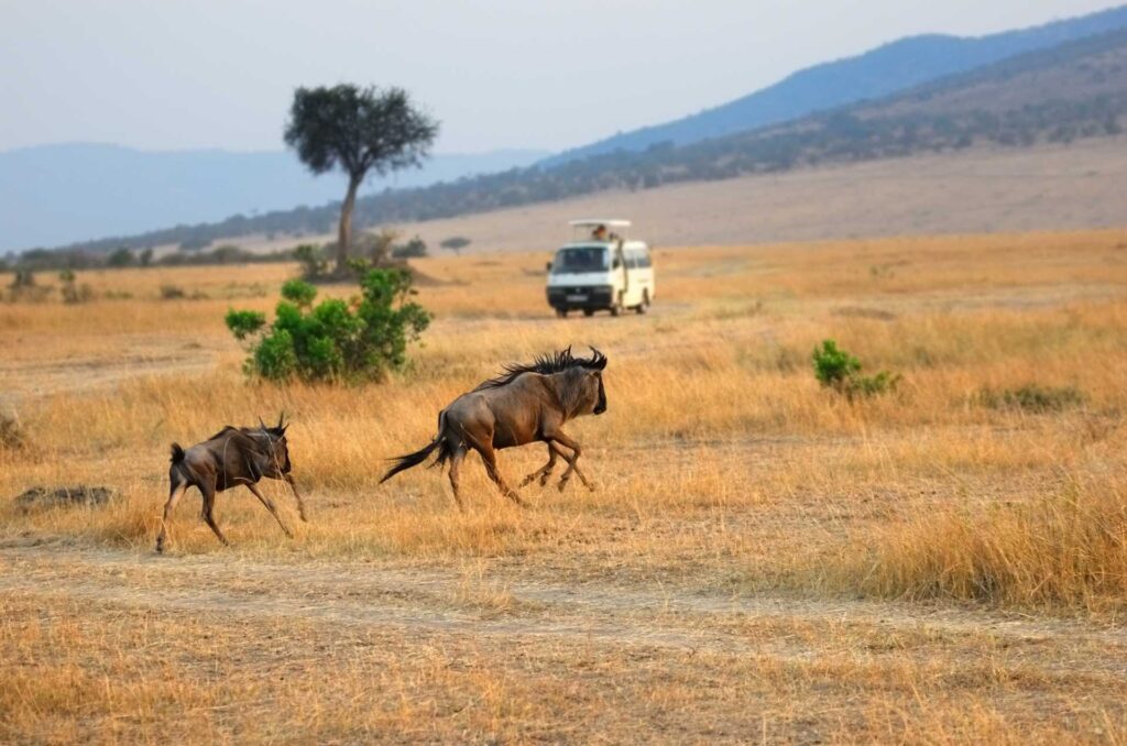 Kenya