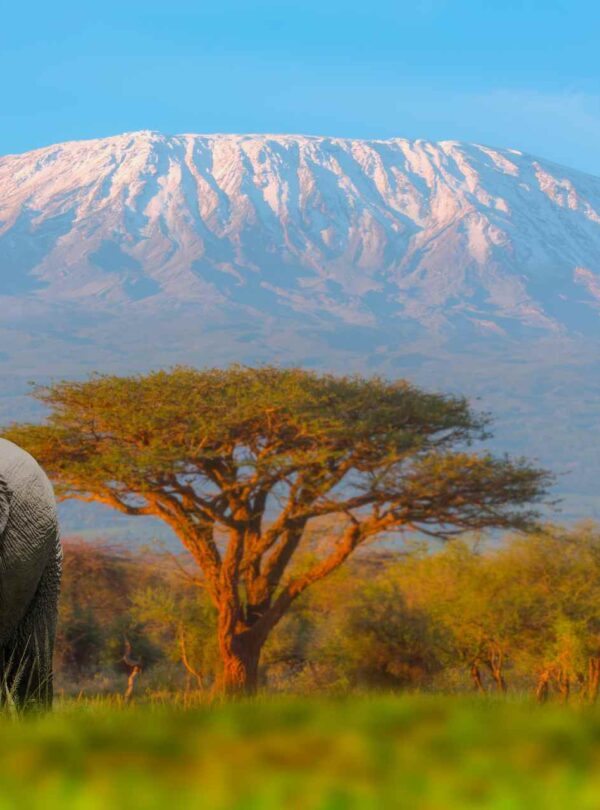 Tanzania